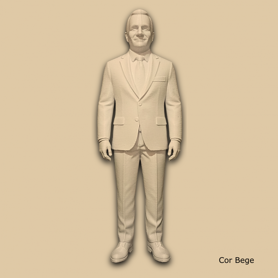 Miniatura 3D Personalizada - Estilo Boneco Masculino